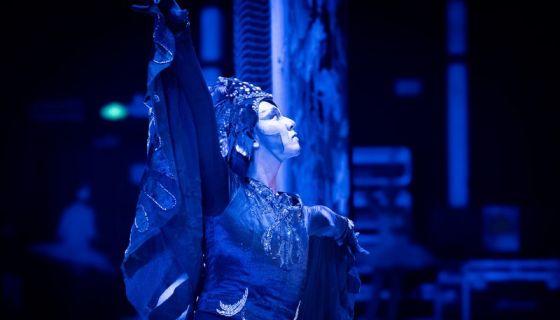 Балет «Лебединое озеро»