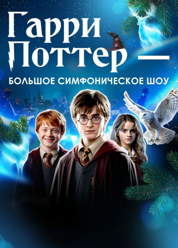 Концерт «Гарри Поттер - новогодняя симфоническая сюита»