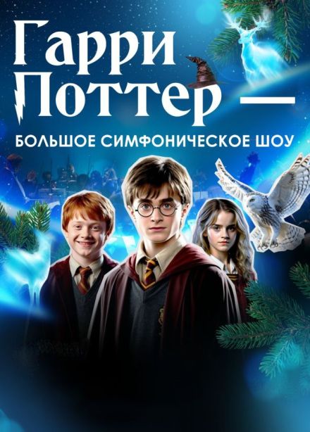 Концерт «Гарри Поттер - новогодняя симфоническая сюита»