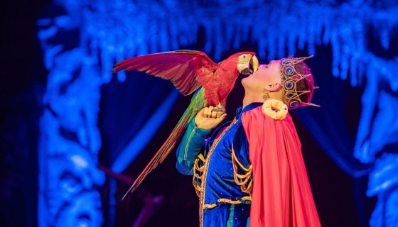 Цирк Моретти. Шоу «Снежная Королева»