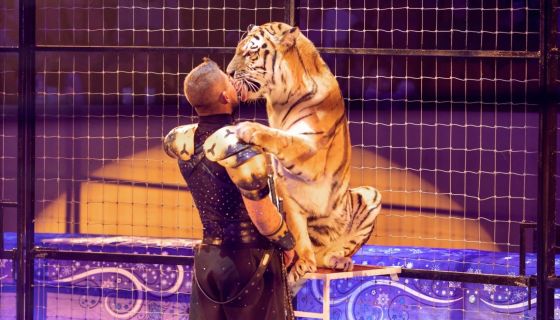 Цирк Моретти. Шоу «Снежная Королева»