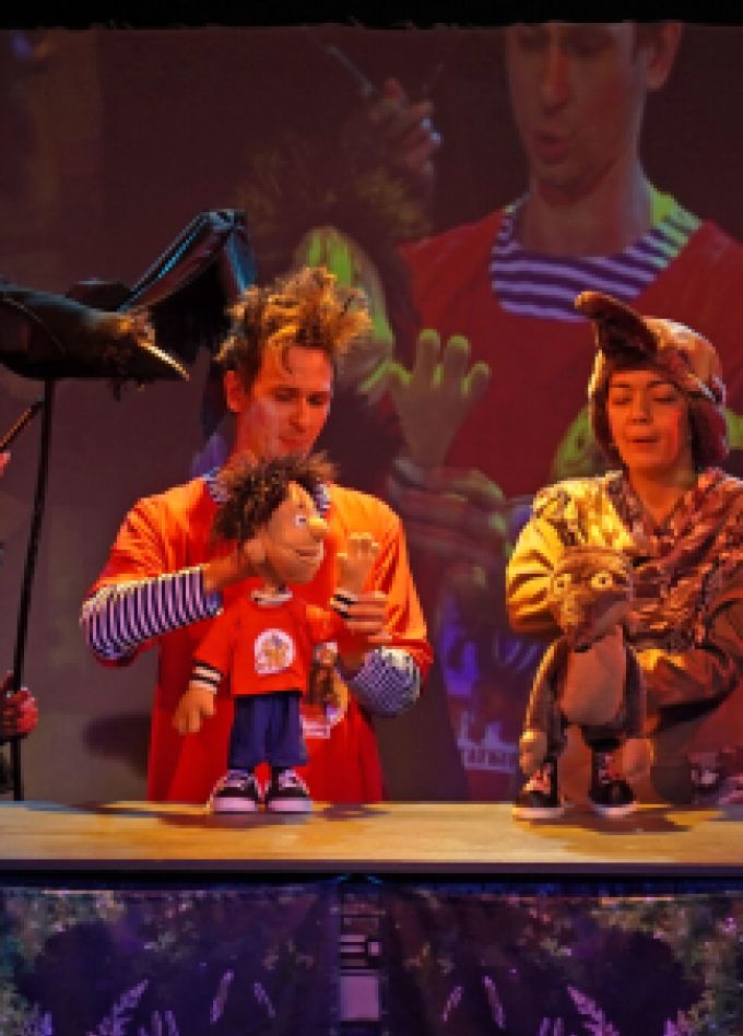 Богатырь Степан Ромашкин