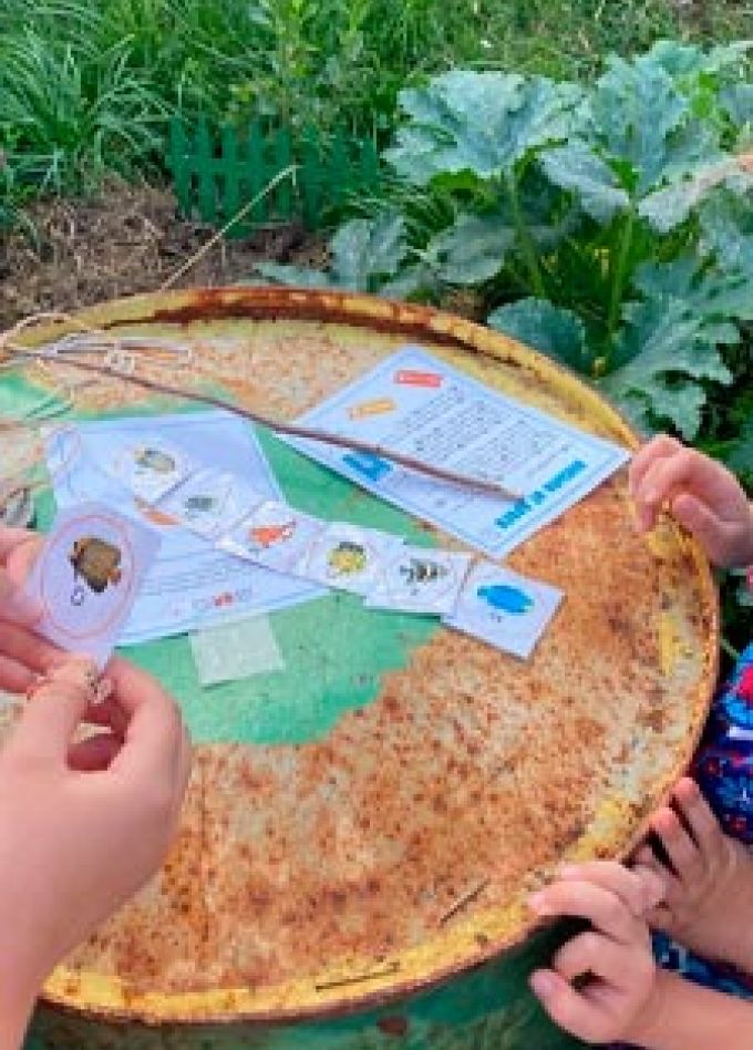 Вокруг света за один день. Квест