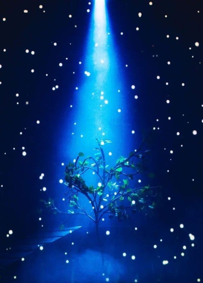 Спектакль «Любовь и голуби»