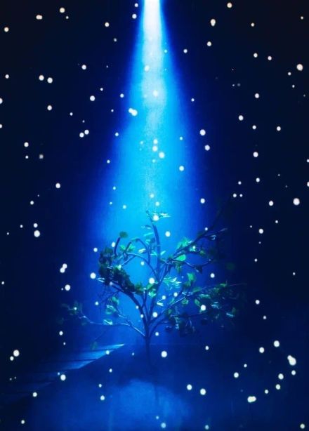 Спектакль «Любовь и голуби»