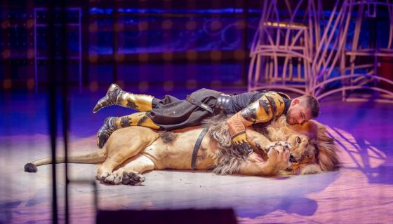 Цирк Моретти. Шоу «Однажды в сказке»