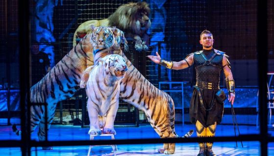 Цирк Моретти. Шоу «Однажды в сказке»